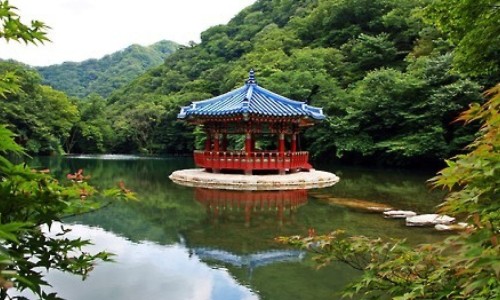 和田玉枣的吃法有哪些-和田玉枣的吃法网和田玉枣的吃法大全知识网站,分享和田玉枣的图片大全